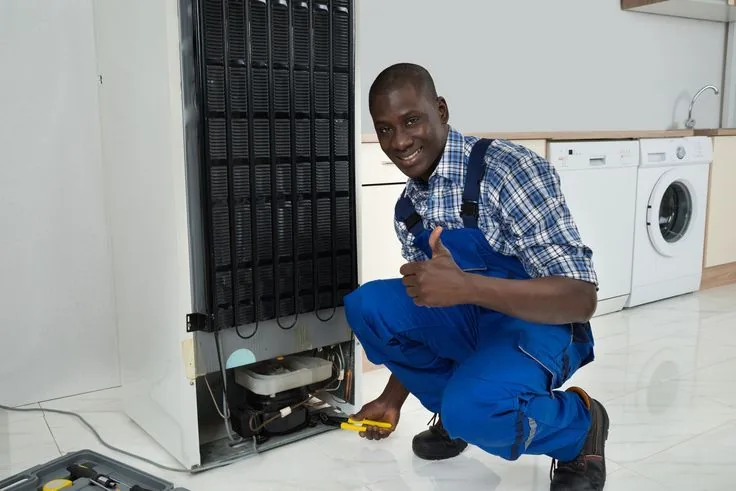 Fridge Repairs in Johannesburg